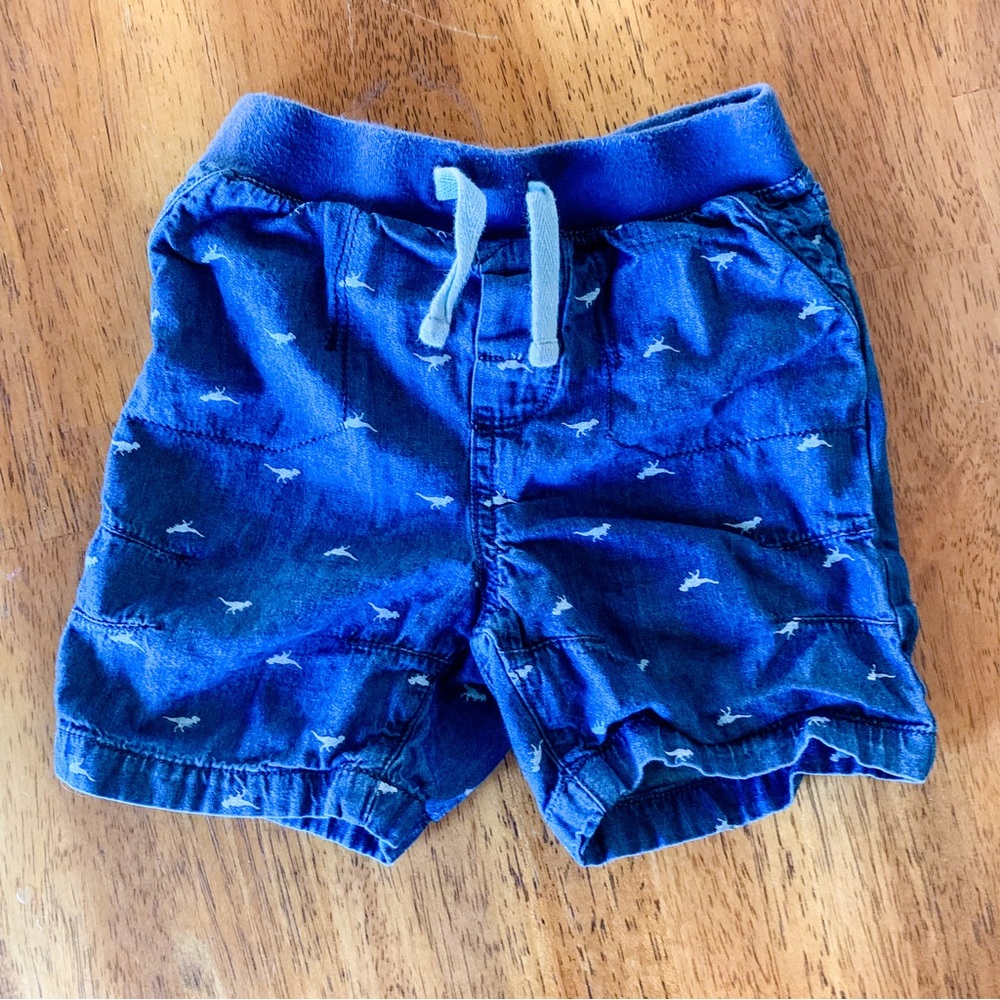Nevada • Dino Print Shorts